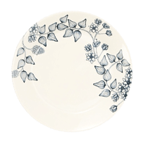 ルノシリーズ「ウィンタースター」